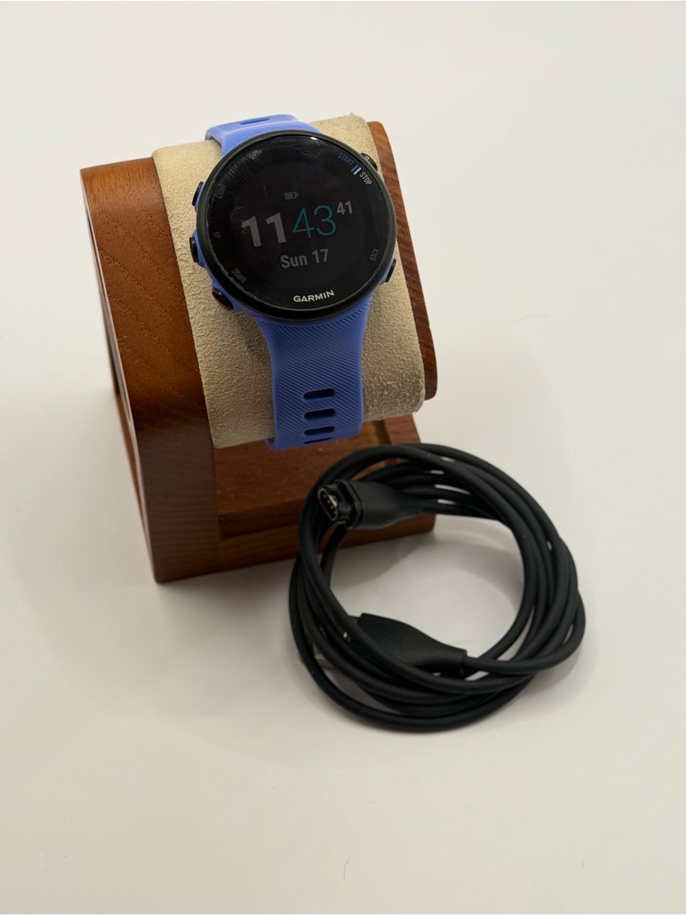 Garmin Forerunner 45s, Blue, Charger Included, Read Please